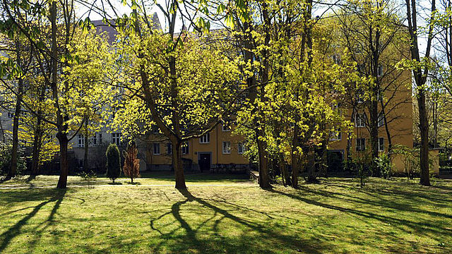 Wohngrünfläche, Baumbestand, Wohngebiet-Kavalierstraße/ Ossietzkystraße/ Am Schoßpark/ Wolfshagener Straße, 13187 Berlin-Pankow
